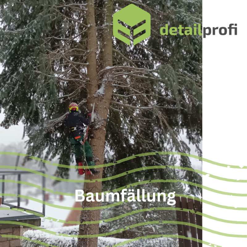 Grünschnitt – Baumfällung